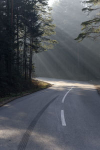 Road amidst trees in forest