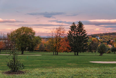 Trees on field against sky at sunset