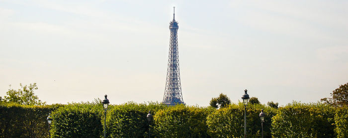 Plants by eiffel tower against sky