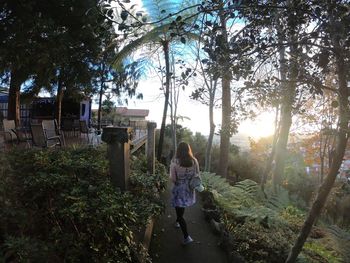 Rear view of women walking in forest during sunset