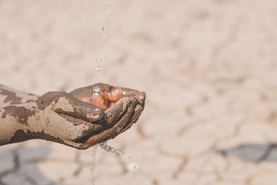 Close-up of water drop falling on sand