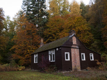 House and trees against lush foliage