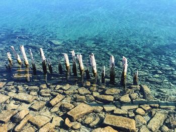 View of birds on rock by sea