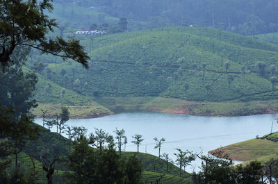Scenic view of lake and trees