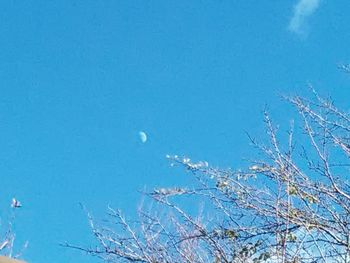 Low angle view of moon in blue sky