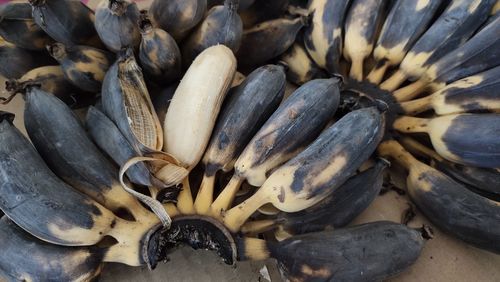 High angle view of onions