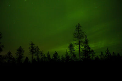 Low angle view of silhouette trees against sky at night