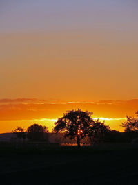 Silhouette trees on field against sky at sunset