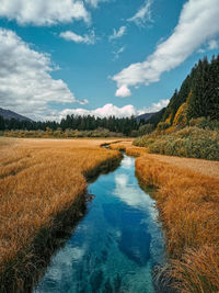 Beautiful stream flowing through golden grassland field