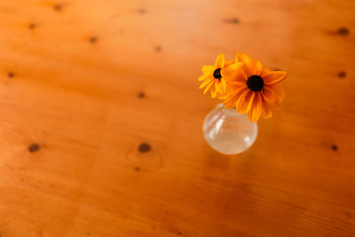 Close-up of yellow flower on table