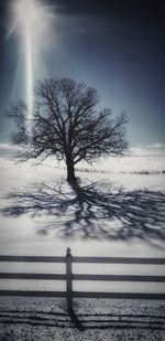 Silhouette tree on snow covered land against sky