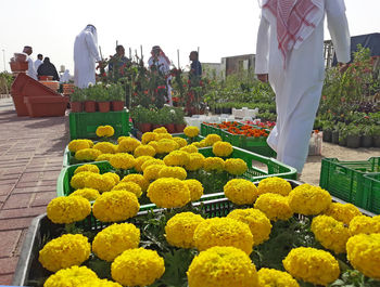 Low section of woman standing by flowers for sale in market