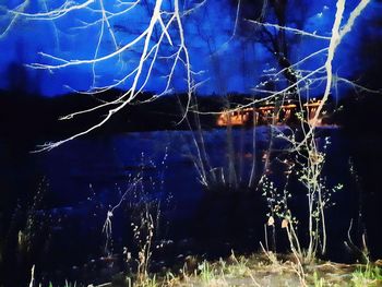 Reflection of illuminated trees in lake at night