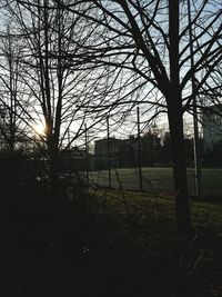 Bare trees against sky during sunset