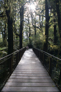 Wooden bridge in the beech forest at new zealand national park.