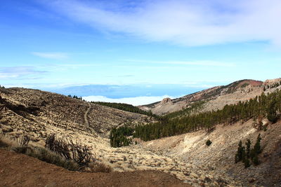 Scenic view of landscape against sky