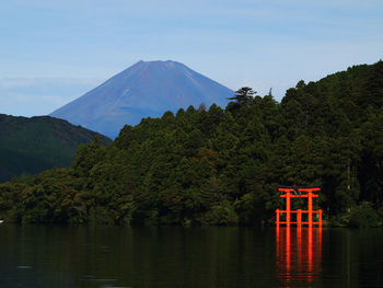 Scenic view of lake by trees against sky