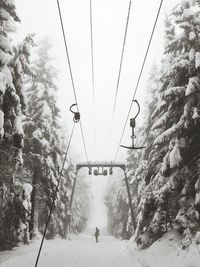 Cables along trees at snow covered landscape