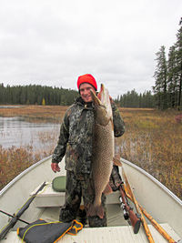 Portrait of smiling man holding dead fish while standing in rowboat