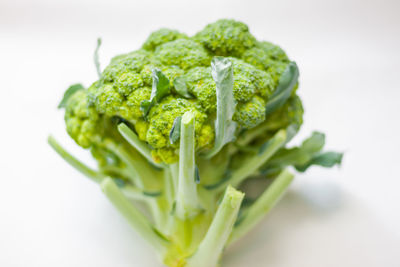 Close-up of vegetable over white background
