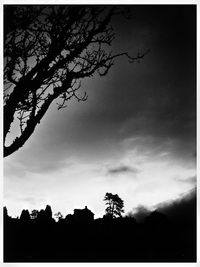 Low angle view of silhouette trees against sky
