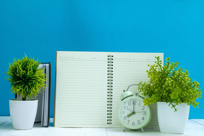 Potted plants on table against white wall
