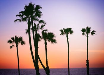 Silhouette palm trees on beach against sky at sunset