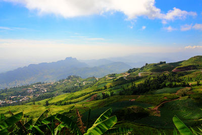 Scenic view of green landscape against sky