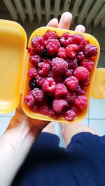 Close-up of hand holding strawberries