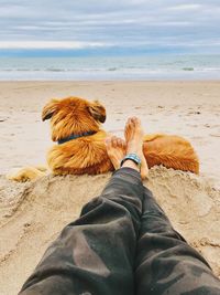 Low section of person with dog on beach