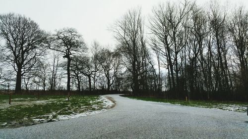 Empty road along trees