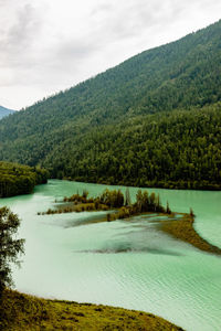 Scenic view of river against forested mountain