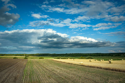 Scenic view of agricultural field against sky