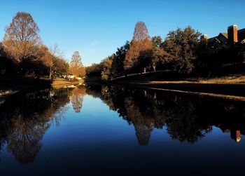 Reflection of trees in water