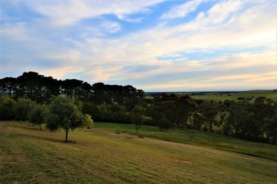 Scenic view of green landscape against cloudy sky