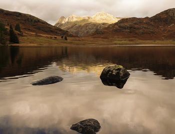reflection