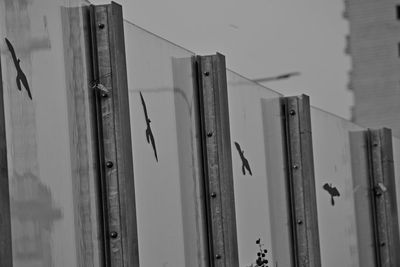 Low angle view of window on wall