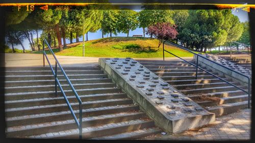 Railing by trees against sky