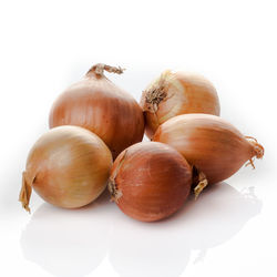 Close-up of pumpkins against white background