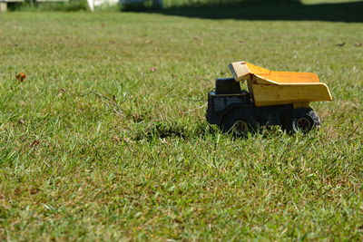 Toy car on field