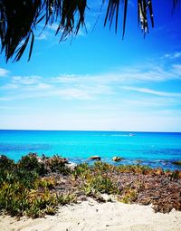 Scenic view of beach against blue sky