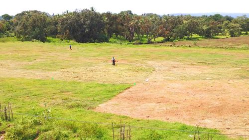Scenic view of grassy field