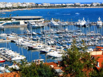 Cannes harbour from hill