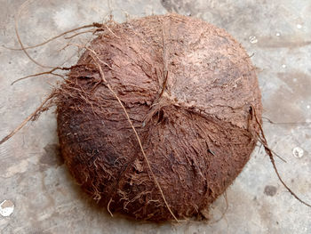 High angle view of bread