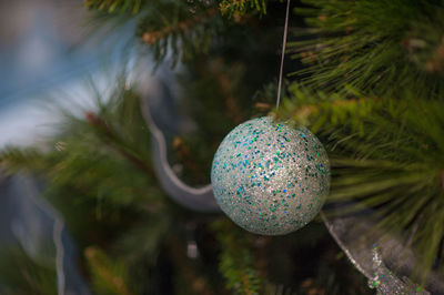 Close-up of christmas decoration hanging on tree