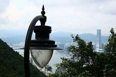 View of trees against sky