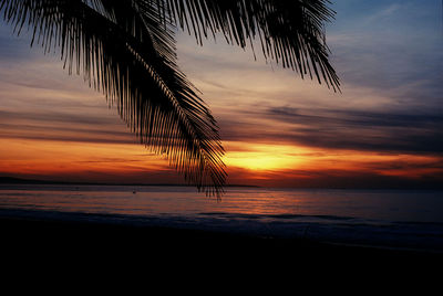 Silhouette palm tree on beach against sky at sunset