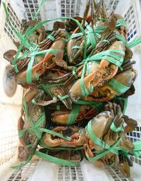 High angle view of vegetables in basket