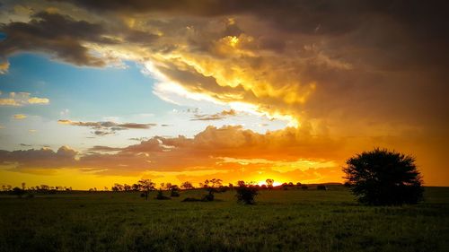 Scenic view of landscape at sunset