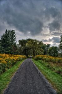 Road passing through field